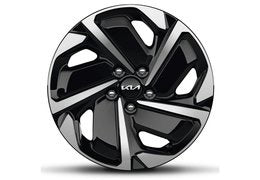 EV9 - Winter Tires