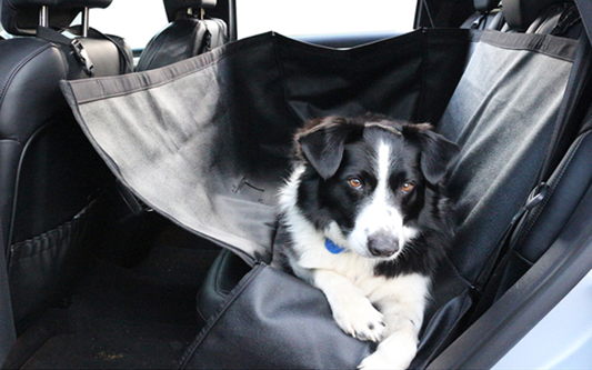 Kia 2021-2023 Telluride Pet Seat Protector AMPETSEATPRO