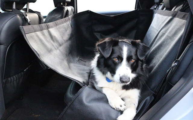Kia Pet Seat Protector AMPETSEATPRO